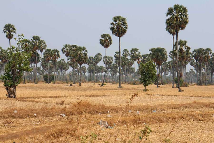 160426Cambodia020r.jpg