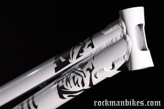 b_whiteframeheadtube%20%28Custom%29.jpg