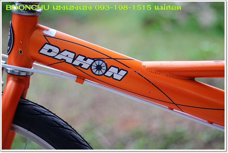DAHON_10.JPG
