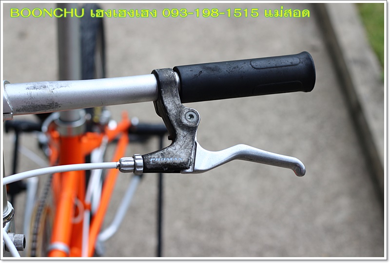 DAHON_17.JPG