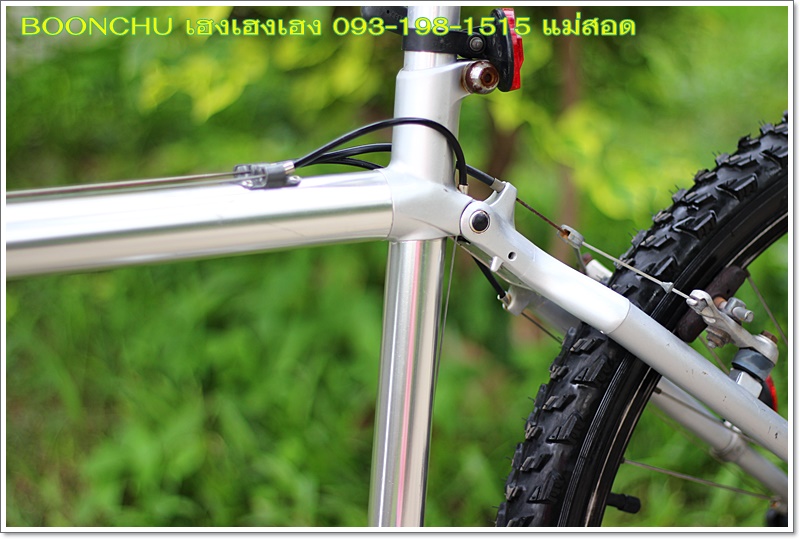 MIYATA_10.JPG
