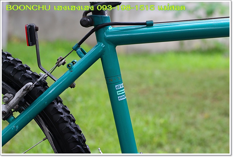 GIANT_17 - Copy.JPG