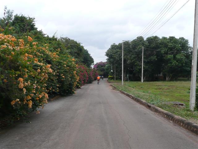 P1100120 (Small).JPG