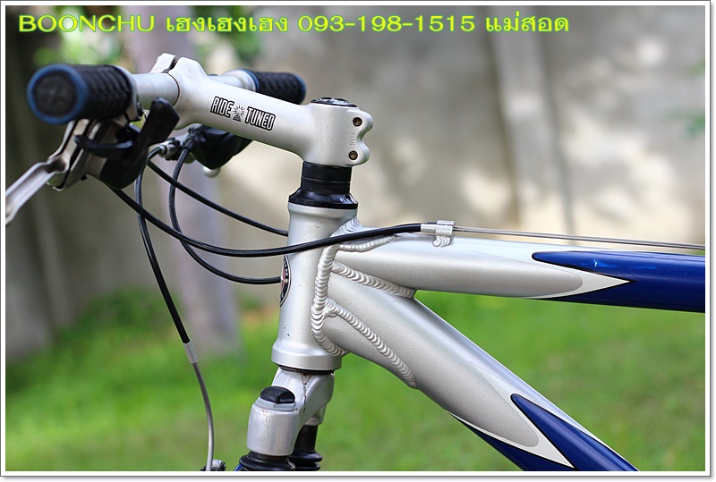 SCHWINN_11.JPG