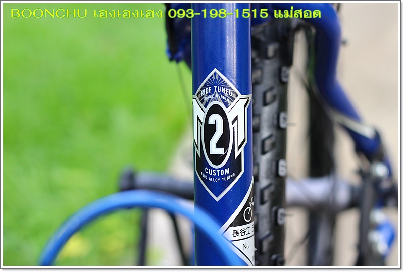 SCHWINN_13.JPG