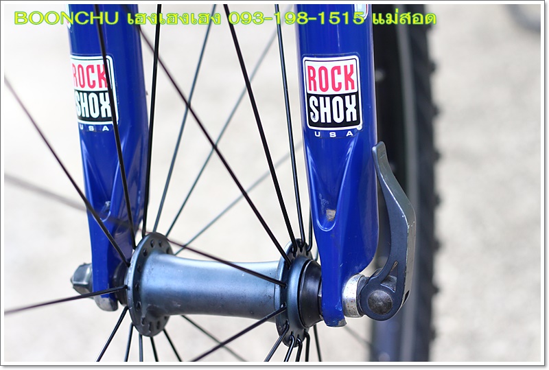 SCHWINN_23.JPG