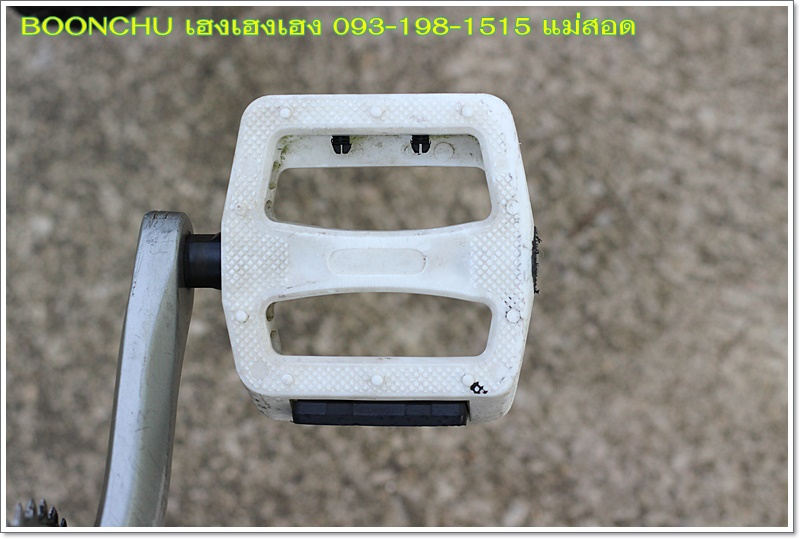 SCHWINN_27.JPG