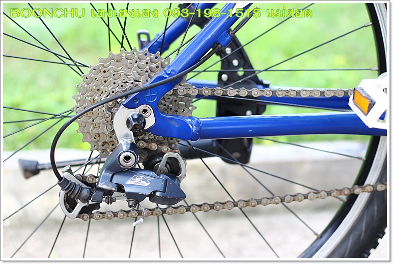 SCHWINN_30.JPG