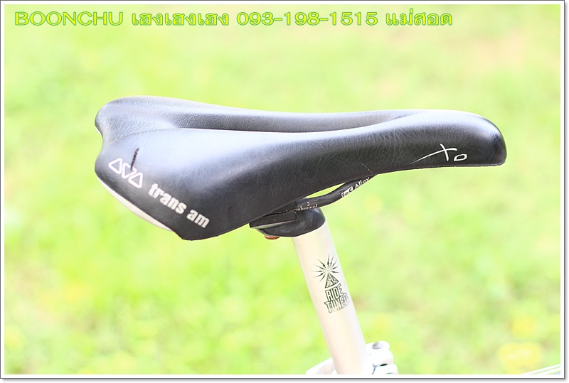 SCHWINN_31.JPG