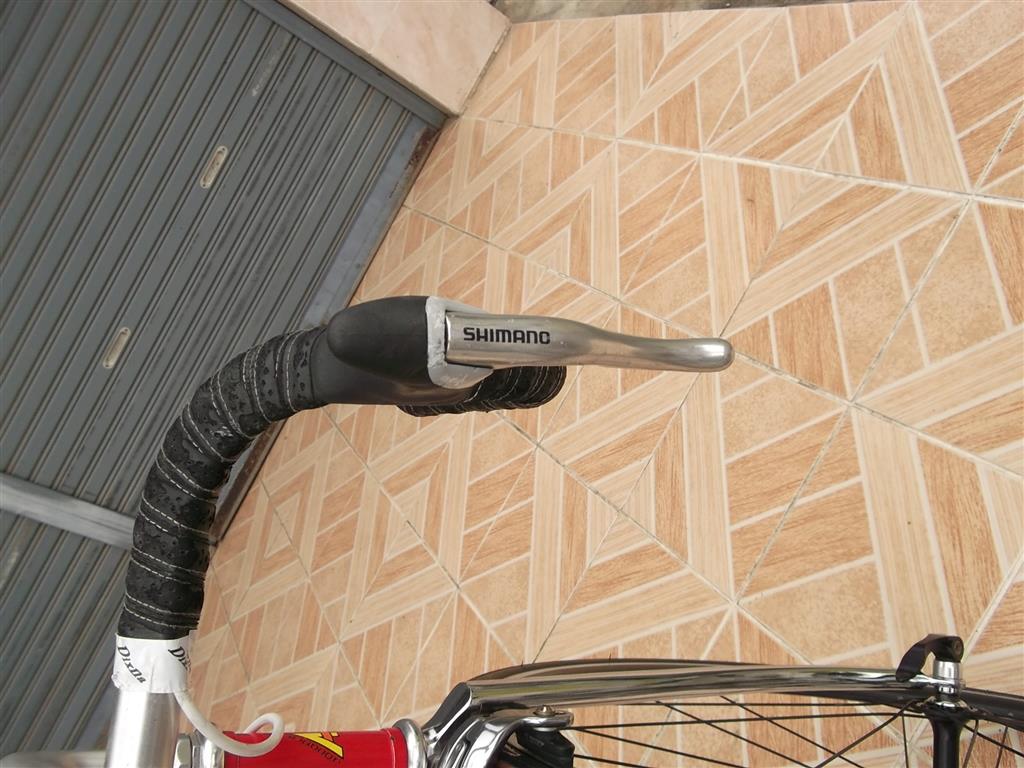 DSCF4951 (Medium).JPG