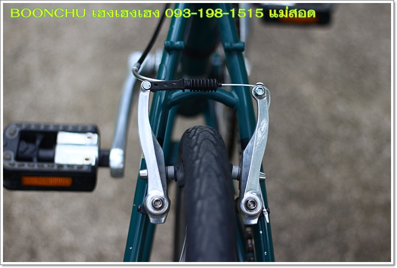 DAHON_22.JPG