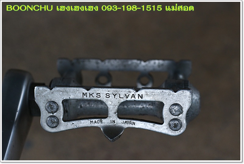 BIANCHI_31.JPG