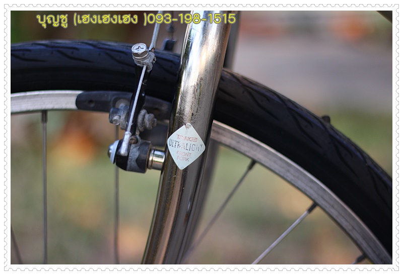 NISHIKI_11.JPG
