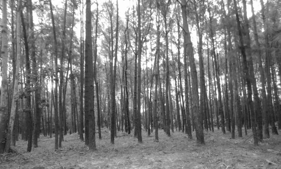 20160627_140026.jpg