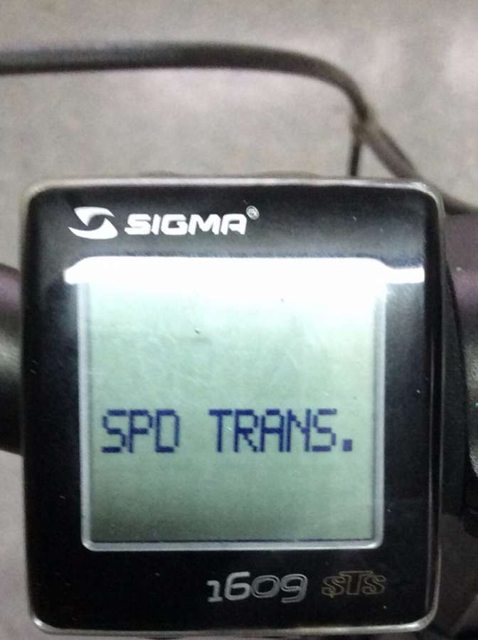 sig2.jpg