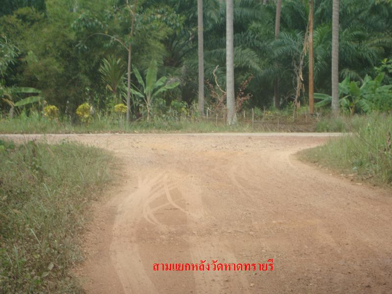 16.JPG
