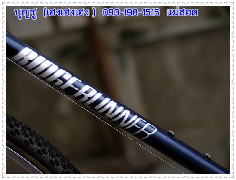 MIYATA_10.JPG