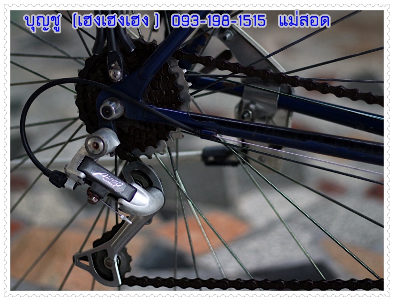 MIYATA_29.JPG
