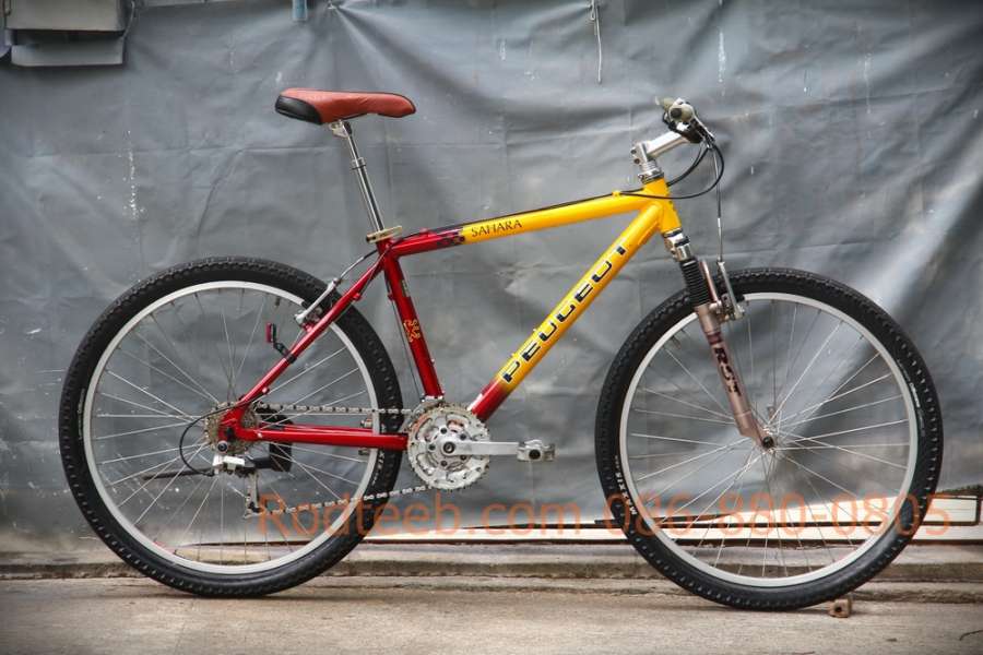 IMG_7295.JPG