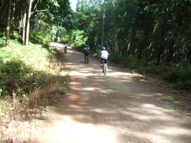 DSCF0184 (Small).jpg