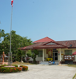 pic1.jpg