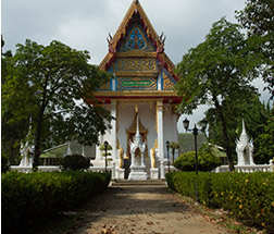 pic2.jpg