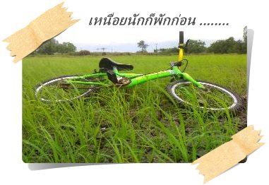 12072009577.jpg