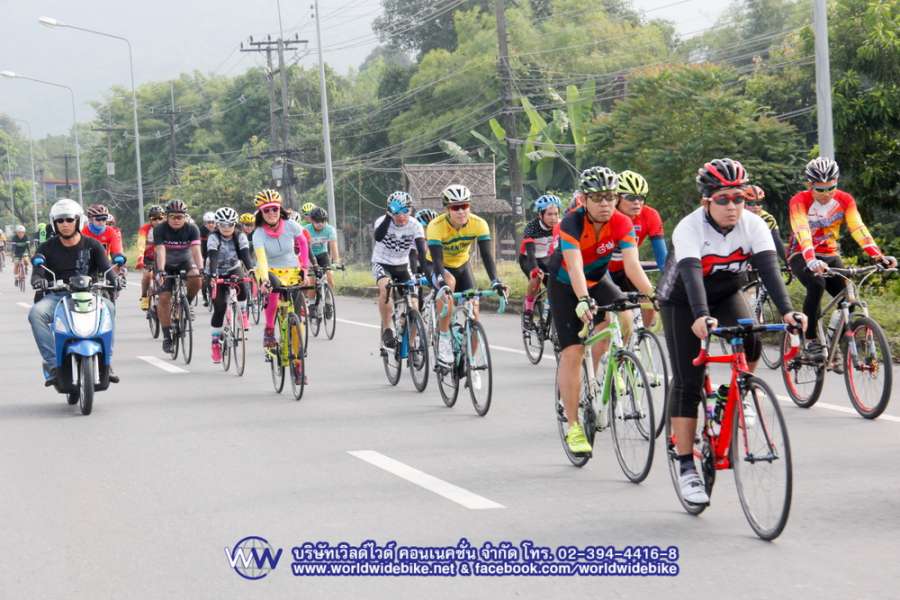 _MG_3024_resize.JPG