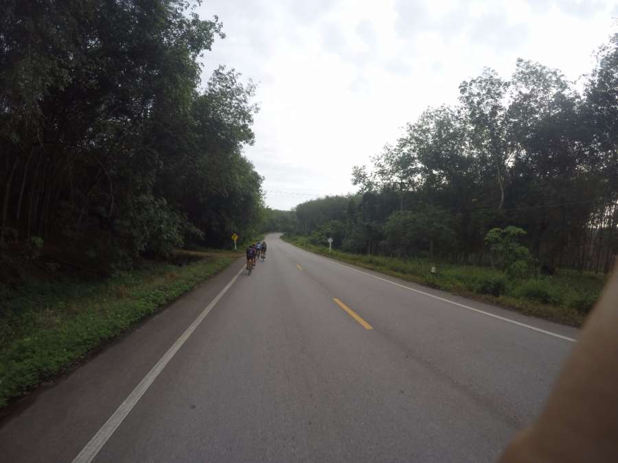 G0574011.JPG
