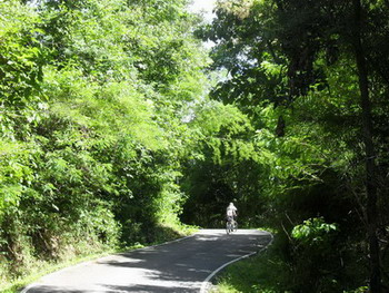 SDC11505_resize.jpg