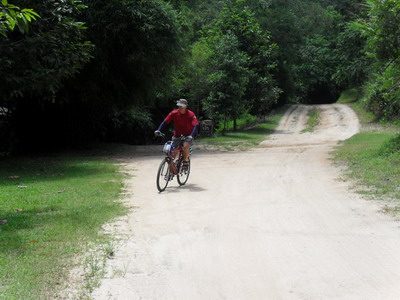 SDC11615_resize.jpg