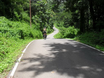 SDC11618_resize.jpg