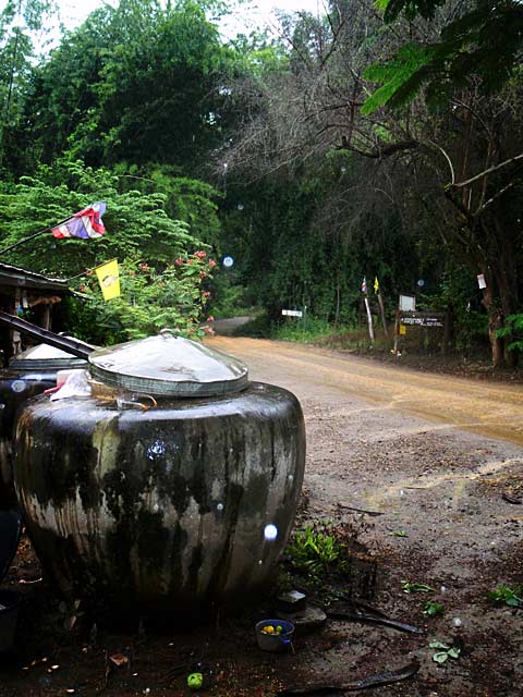 P9130187-1.jpg