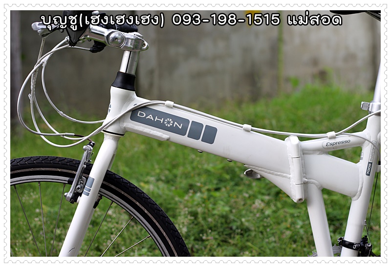 DAHON_06.JPG