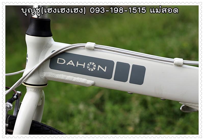 DAHON_08.JPG