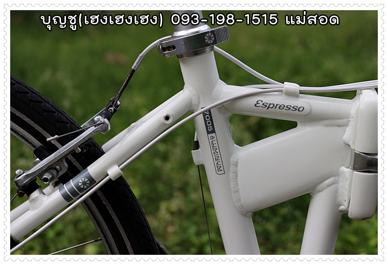 DAHON_12.JPG