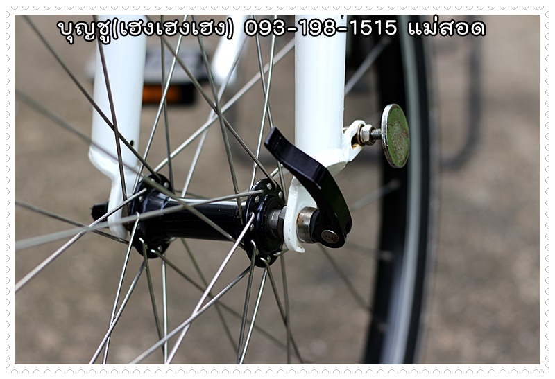 DAHON_19.JPG