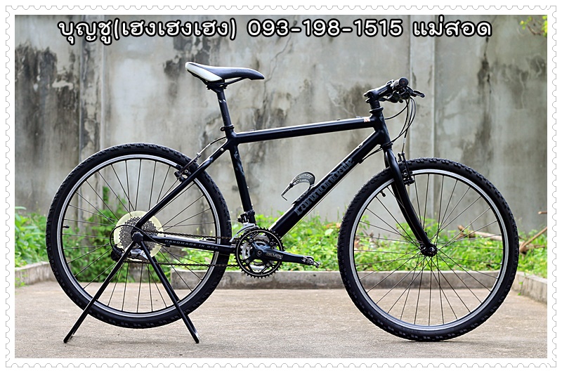 CANNONDALE_01.JPG
