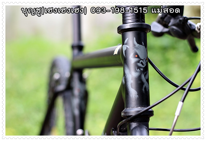 CANNONDALE_05.JPG