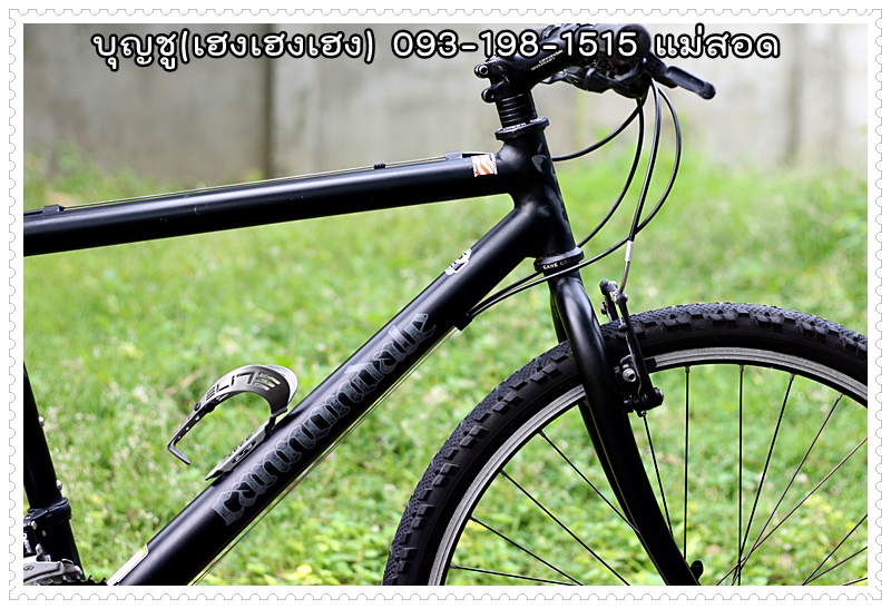 CANNONDALE_13.JPG