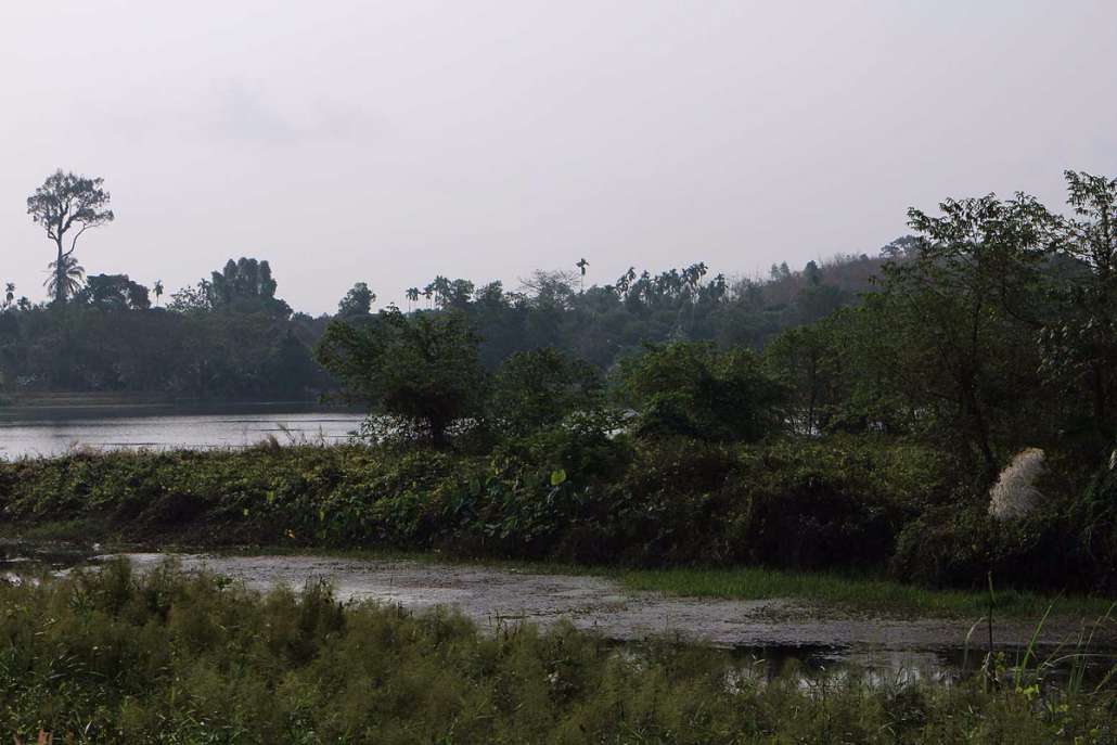 150129Rit062r.jpg