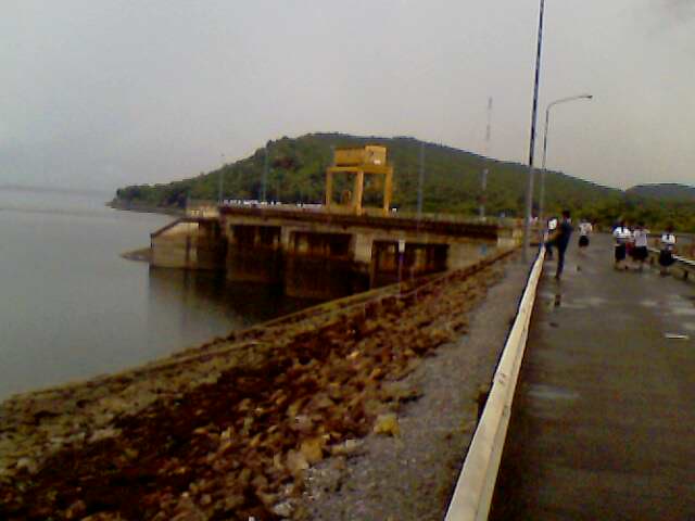 IMG0523A.jpg