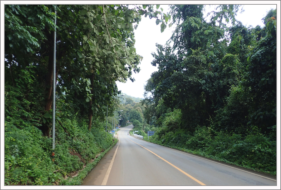 PA120674.jpg