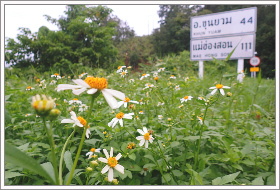 PA120716.jpg