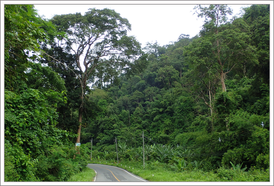 PA120755.jpg