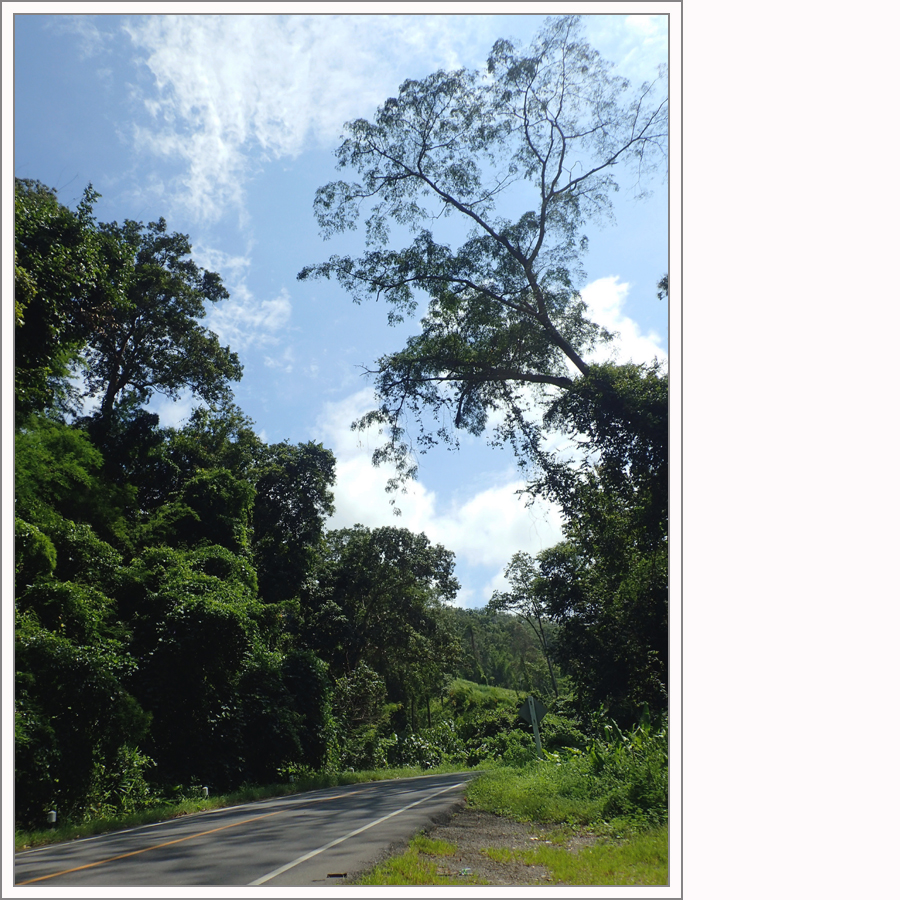 PA120839.jpg