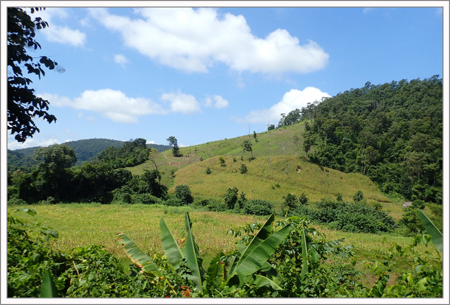 PA120872.jpg