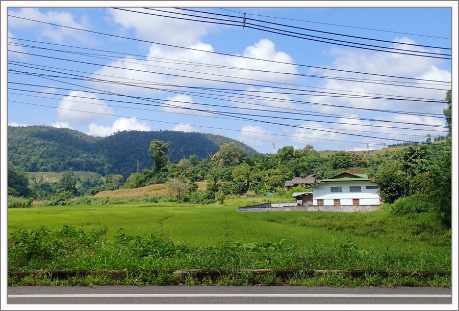 PA120878.jpg