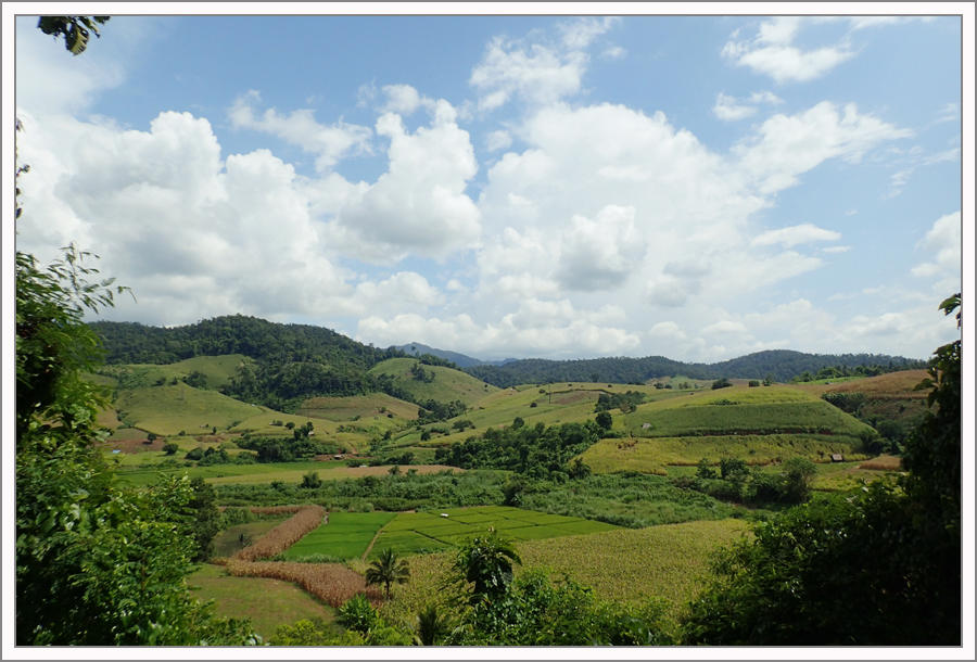 PA120970.jpg