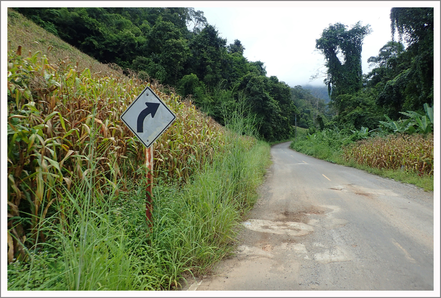 PA131003.jpg